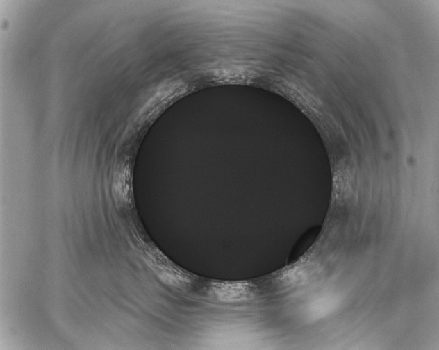 X0000059060671200510171941