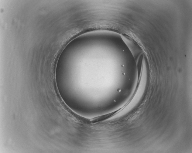 X0000059060673200510171940