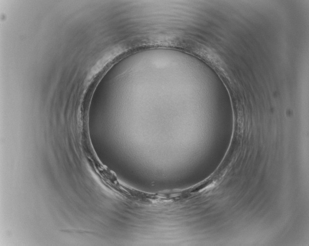 X0000059060674200510171940