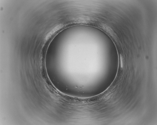 X0000059060675200510171940