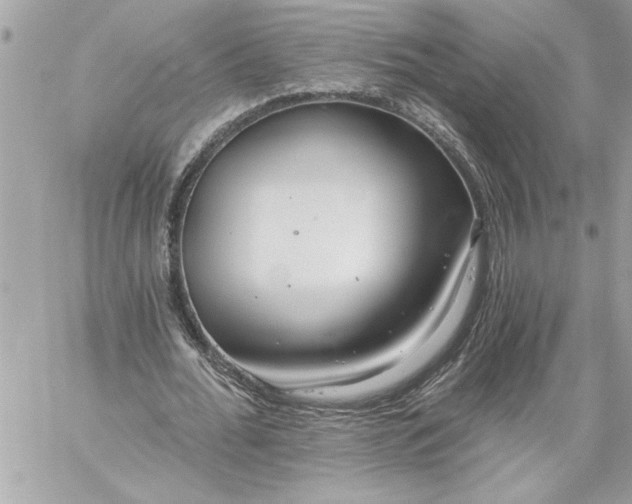 X0000059060676200510171940