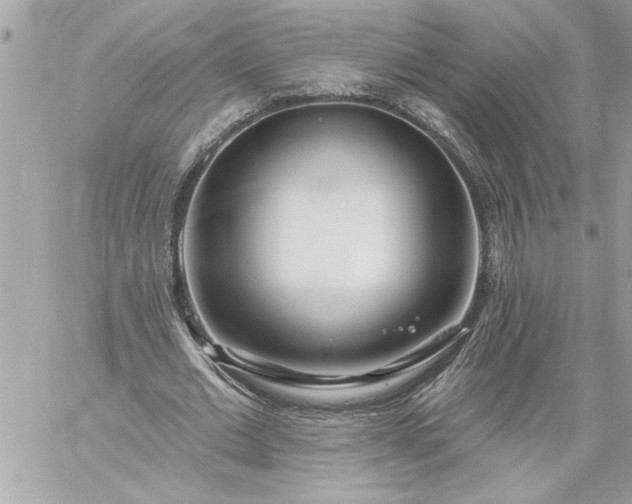 X0000059060677200510171940