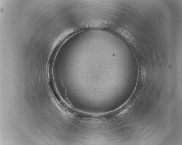 X0000059060678200510171940