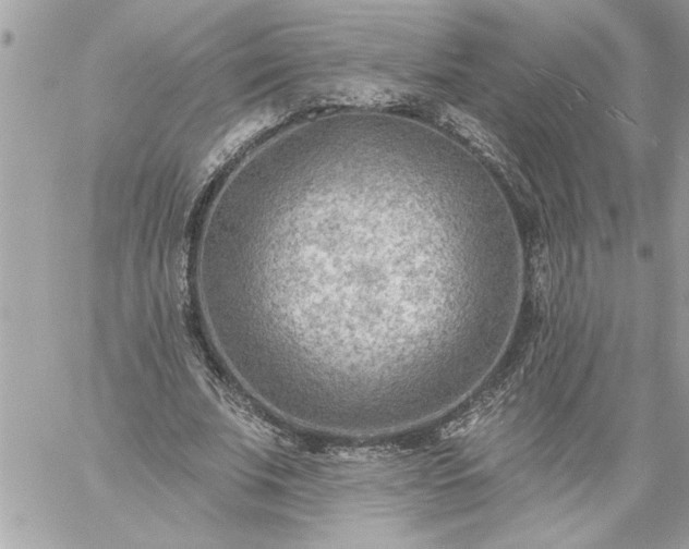 X0000059060679200510171940