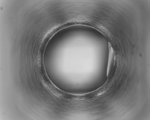 X0000059060680200510171940