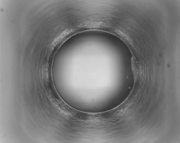 X0000059060682200510171940