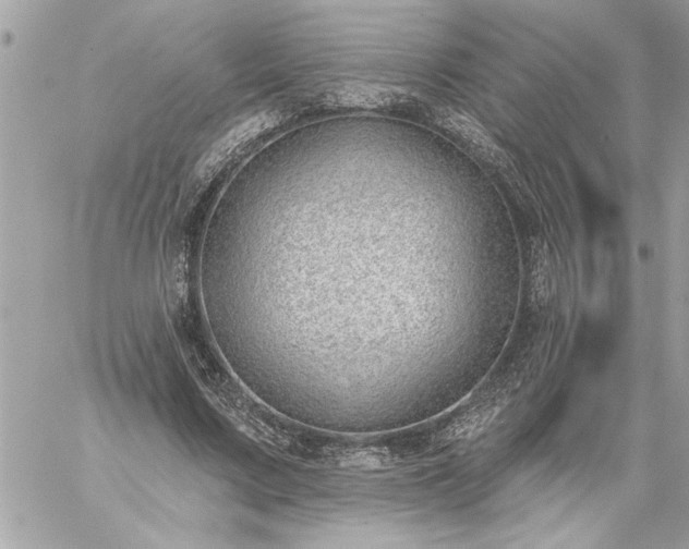 X0000059060683200510171940