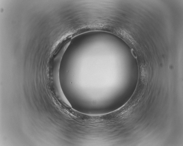 X0000059060684200510171940