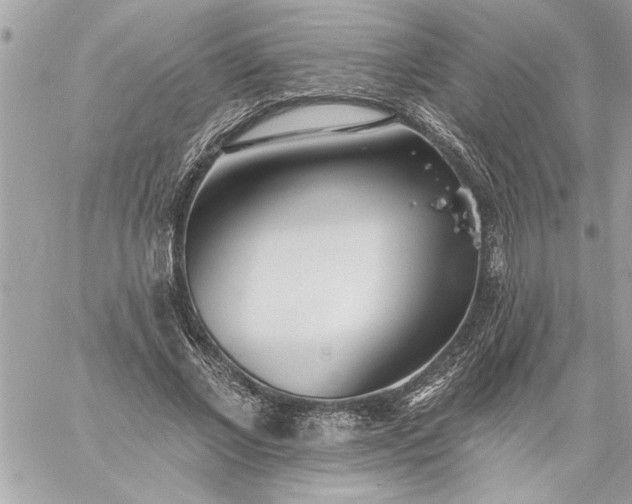 X0000059060685200510171940