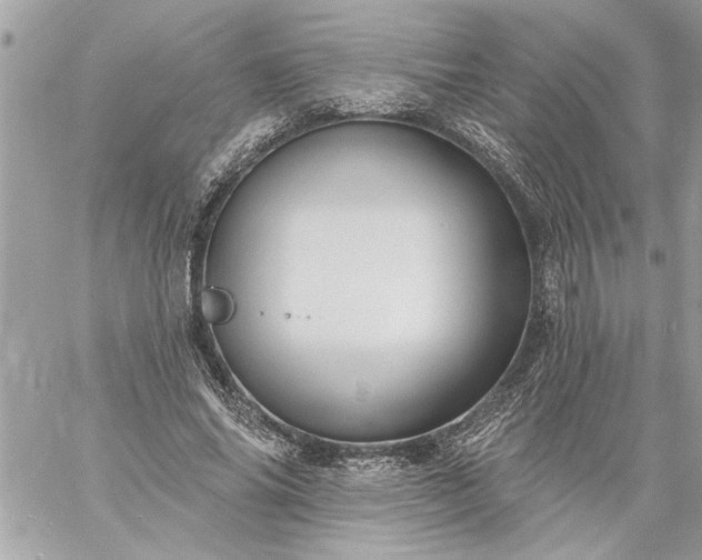 X0000059060686200510171940