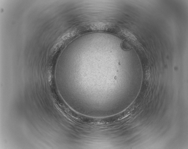 X0000059060687200510171940