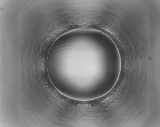 X0000059060689200510171940