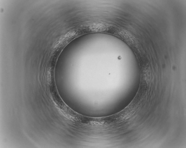 X0000059060690200510171940