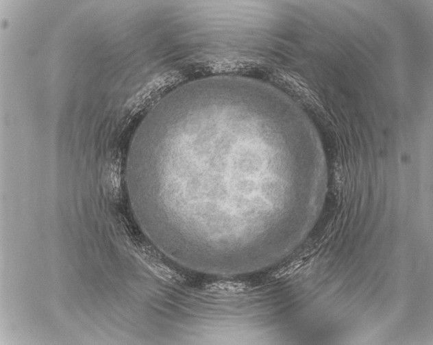 X0000059060691200510171940