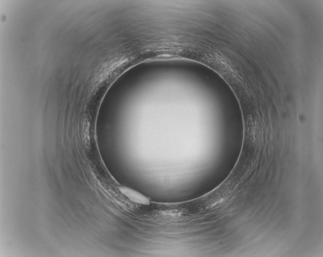 X0000059060692200510171940