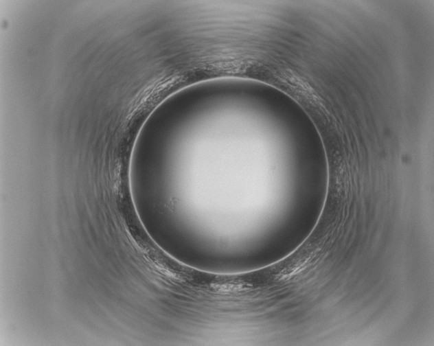 X0000059060693200510171940