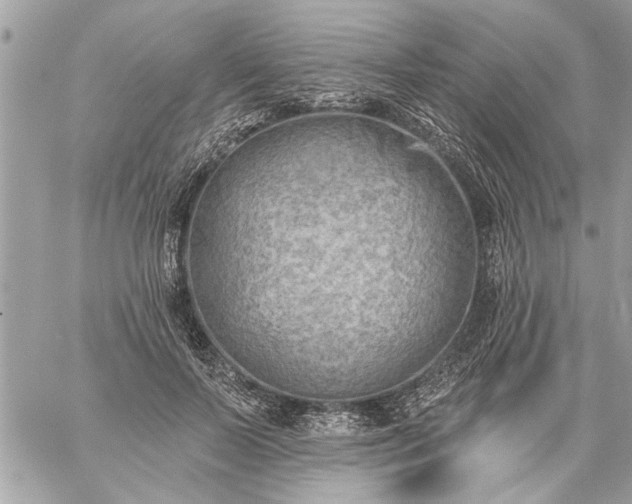 X0000059060695200510171940