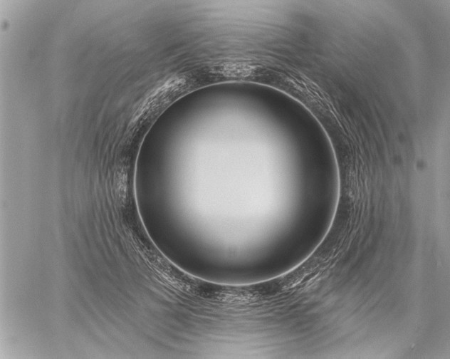 X0000059060697200510171940