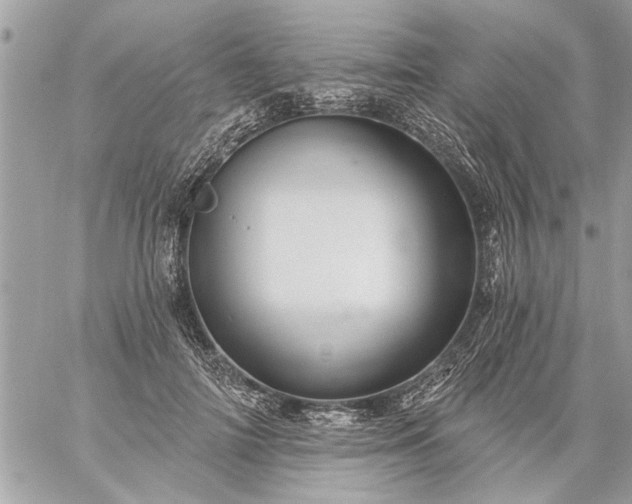 X0000059060698200510171940