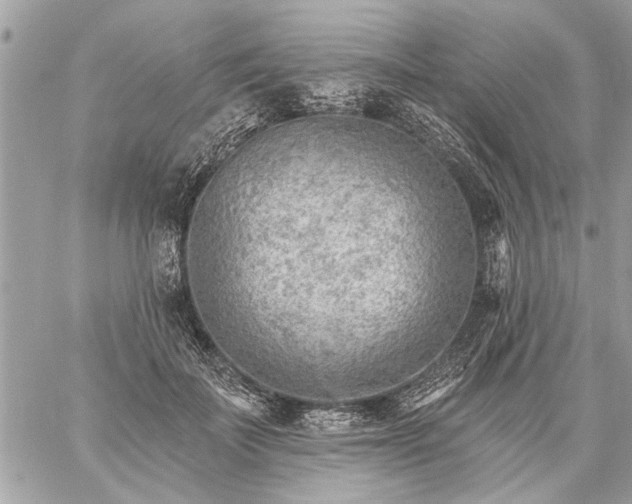 X0000059060699200510171940