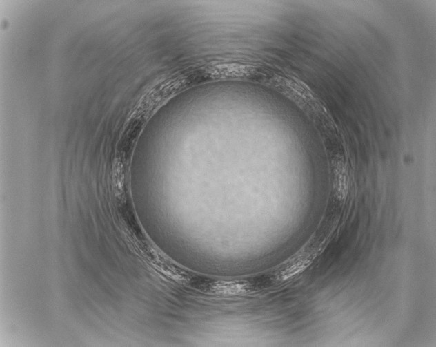 X0000059060701200510171940