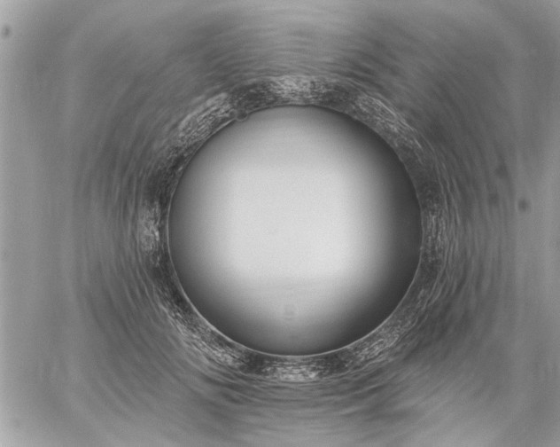 X0000059060702200510171939