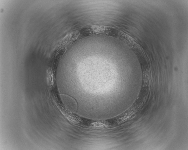 X0000059060703200510171939