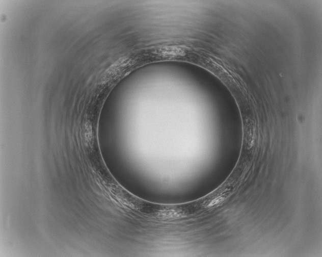 X0000059060704200510171939