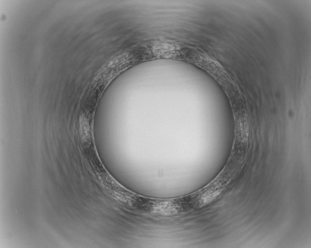 X0000059060705200510171939