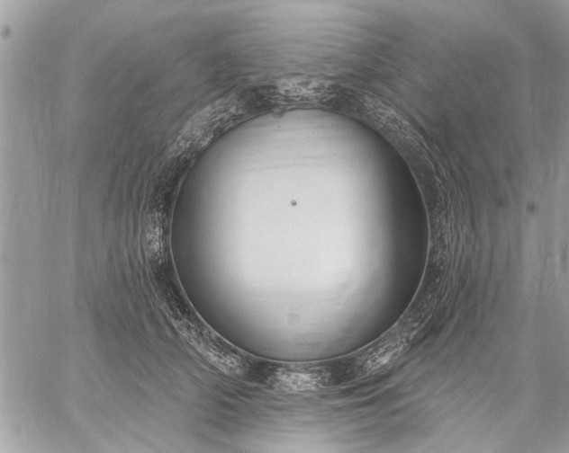 X0000059060706200510171939