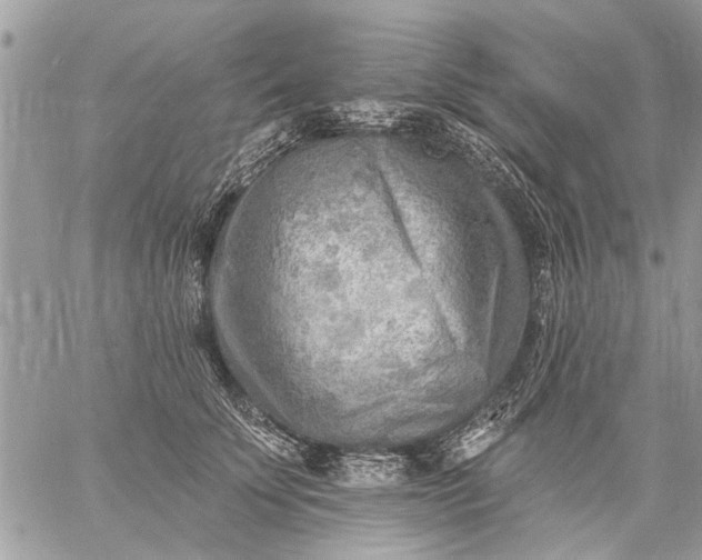 X0000059060707200510171939