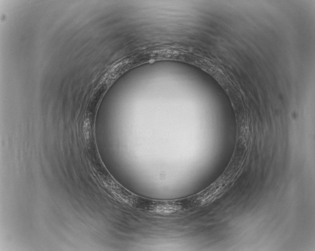 X0000059060708200510171939