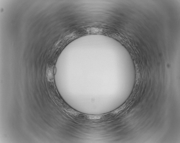 X0000059060709200510171939