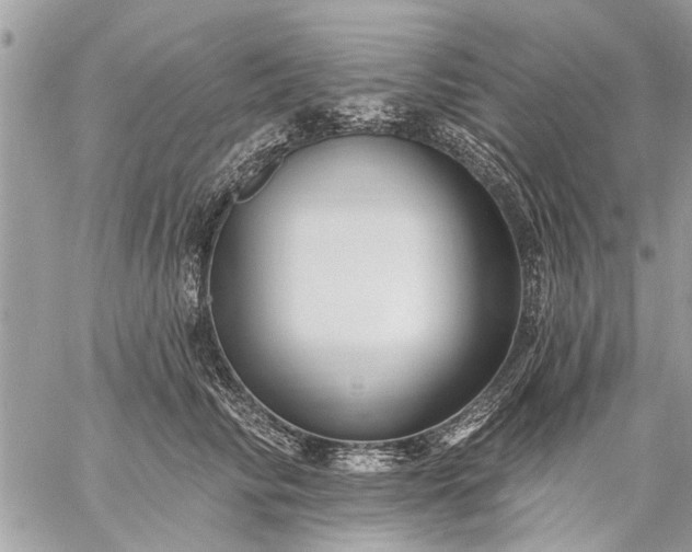 X0000059060710200510171939