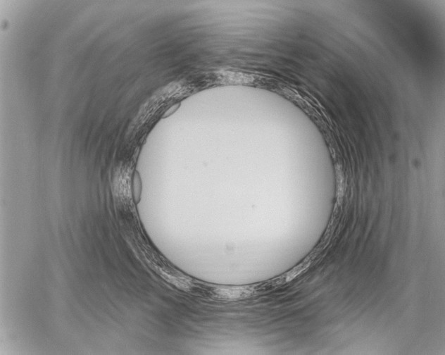 X0000059060713200510171939