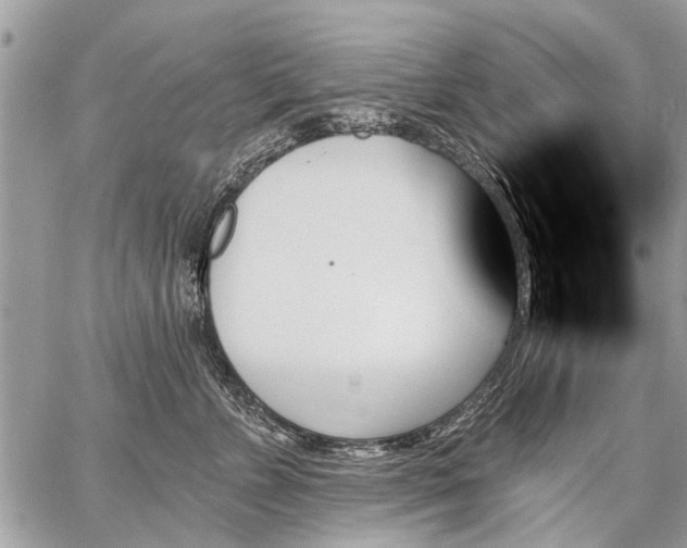 X0000059060715200510171939