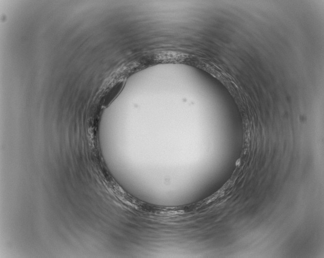 X0000059060716200510171939