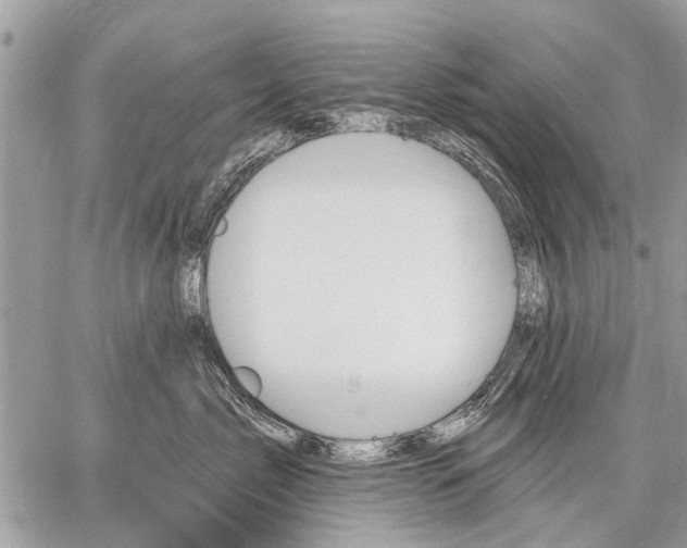 X0000059060717200510171939