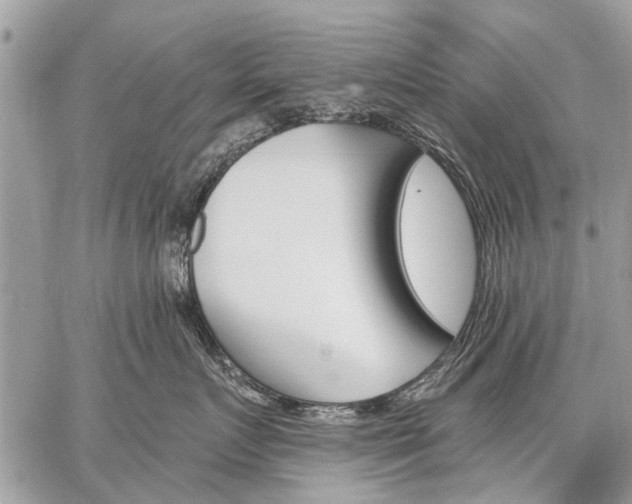 X0000059060719200510171939