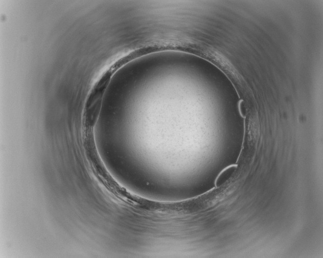 X0000059060722200510171938