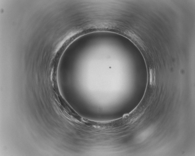 X0000059060723200510171938