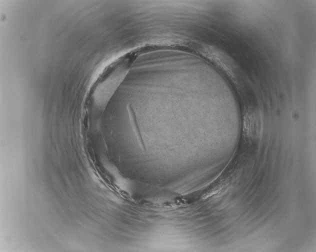 X0000059060724200510171938