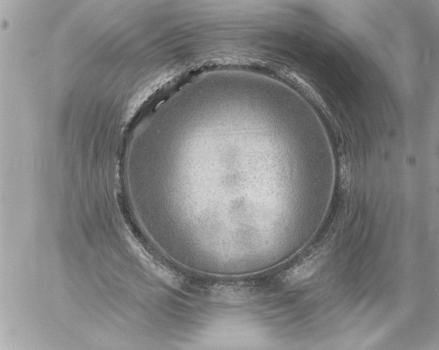 X0000059060725200510171938