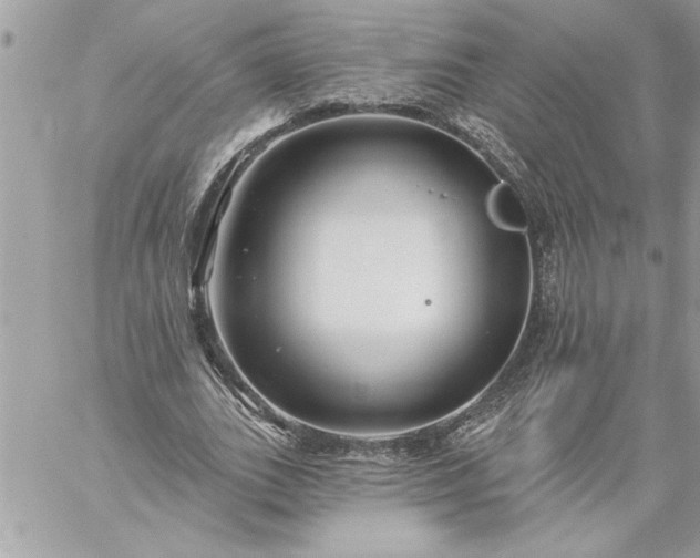 X0000059060727200510171939