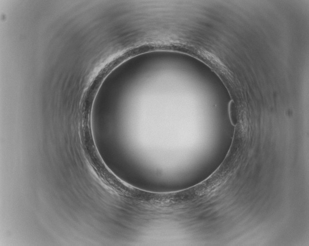 X0000059060728200510171939