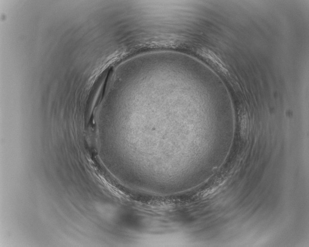 X0000059060729200510171939