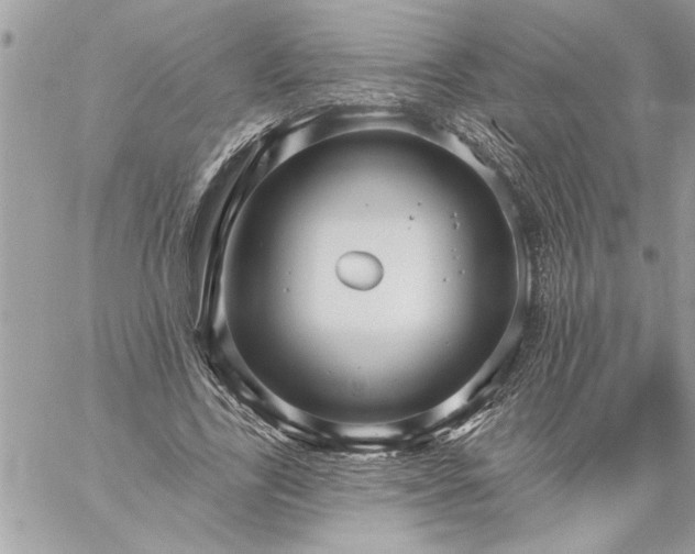 X0000059060731200510171939