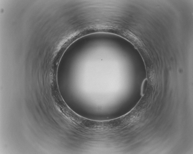 X0000059060732200510171939