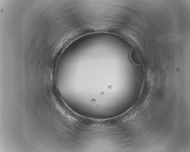 X0000059060733200510171939