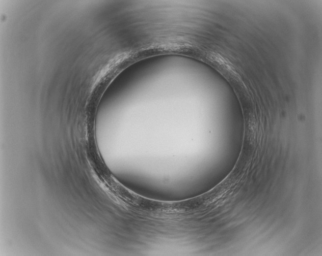 X0000059060734200510171939